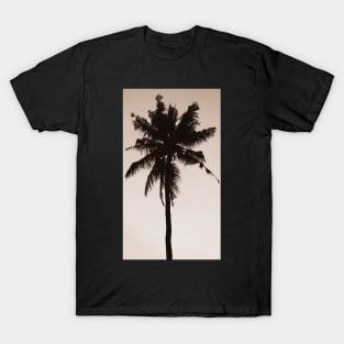 Cool Palm Tree Bro! T-Shirt